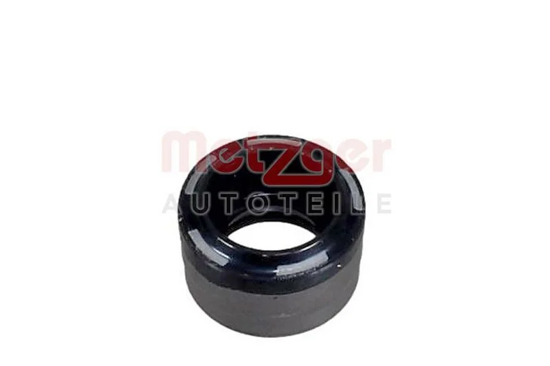 Alyvos tarpiklis, automatinė pavarų dėžė METZGER 2430222