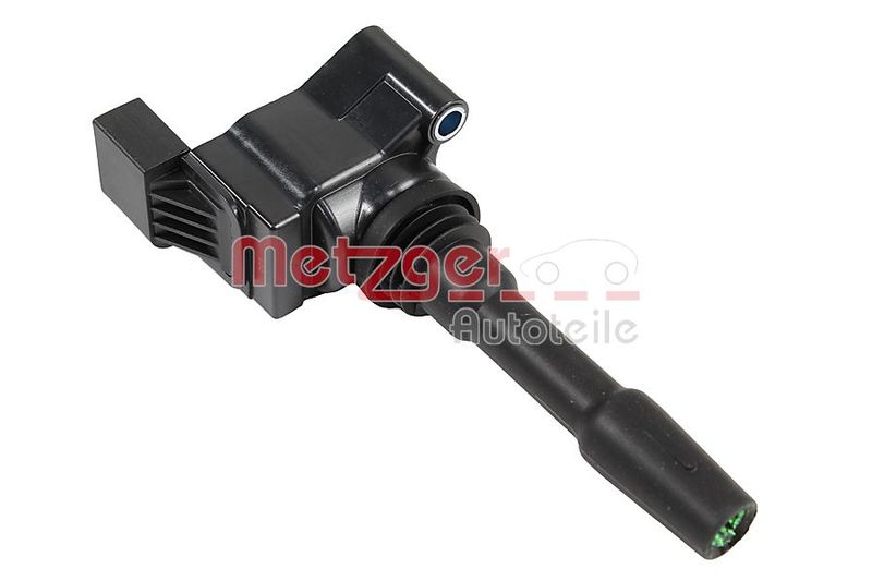 Ritė, uždegimas METZGER 0880493