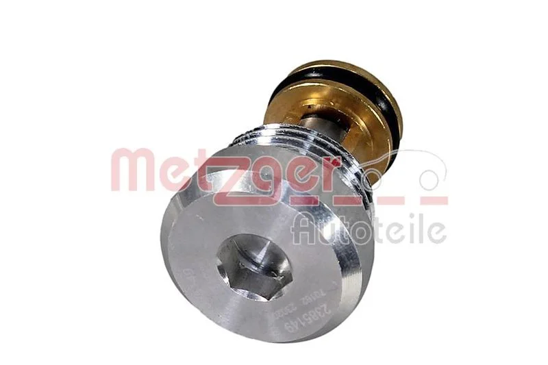 Non-Return Valve METZGER 2385149