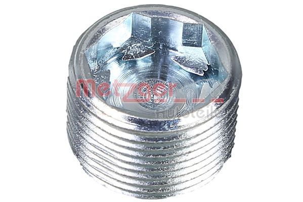 Screw Plug, transmission housing METZGER 8030064