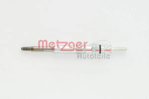 243 METZGER H1 118