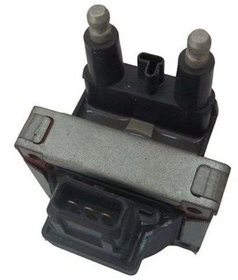 Ritė, uždegimas MAGNETI MARELLI 060717070012