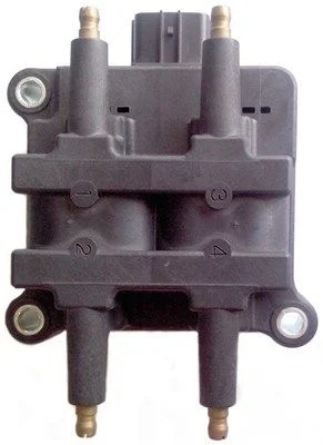 Ritė, uždegimas MAGNETI MARELLI 060717090012