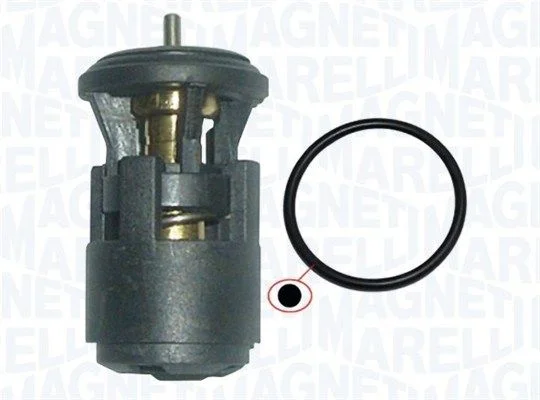 Termostatas, aušinimo skystis MAGNETI MARELLI 352317002860