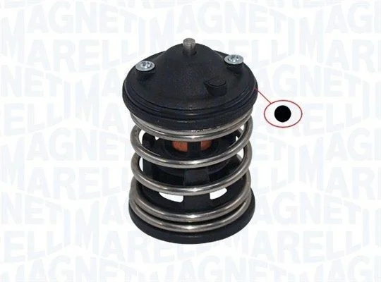 Termostatas, aušinimo skystis MAGNETI MARELLI 352317003260