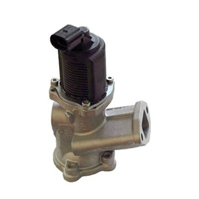 EGR Valve MAGNETI MARELLI 571822112002