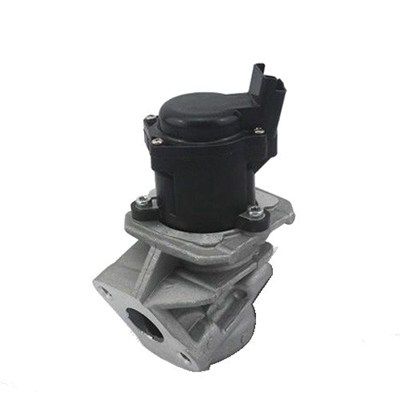 EGR Valve MAGNETI MARELLI 571822112029