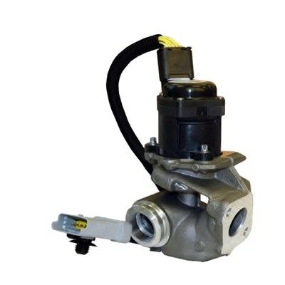 EGR Valve MAGNETI MARELLI 571822112031