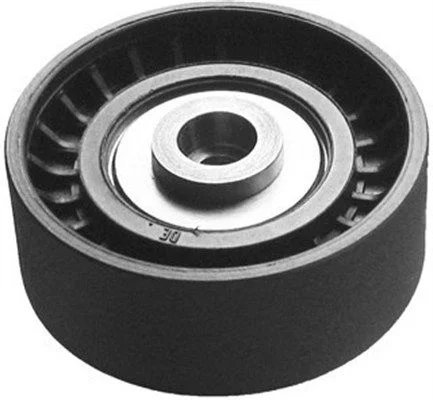 Kreipiantysis skriemulys, V formos diržas magneti marelli MPQ0145