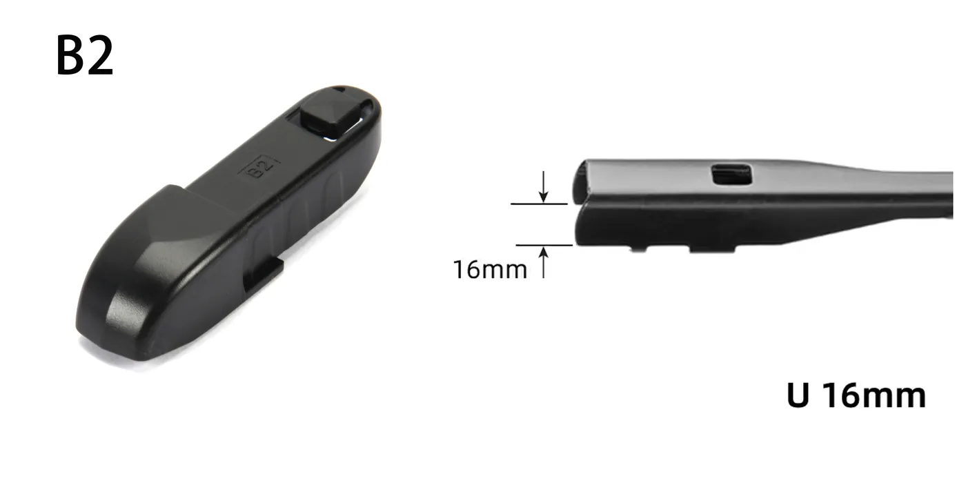 B2